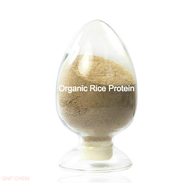 Food Additives Food Grade Rice Protein CAS N/A