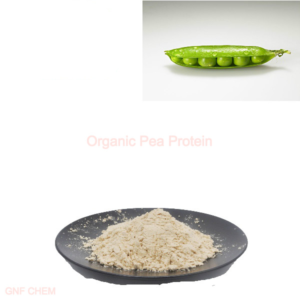 Food Additives Grade Organic Pea Protein CAS 90-10-0