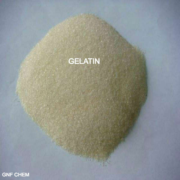 Food Grade Beverage Grade Gelatin(Beef,Pork & Fish based) CAS 9000-70-8