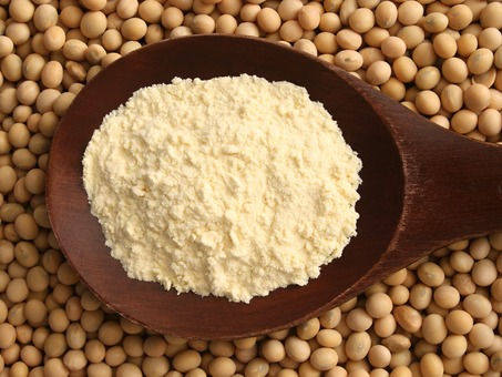 Soy Protein