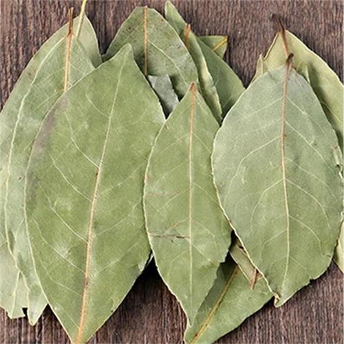 Food additive Essence and fragrance Laurel Leaf