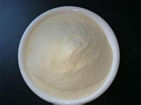 Food Additives Xanthan Gum CAS 11138-66-2