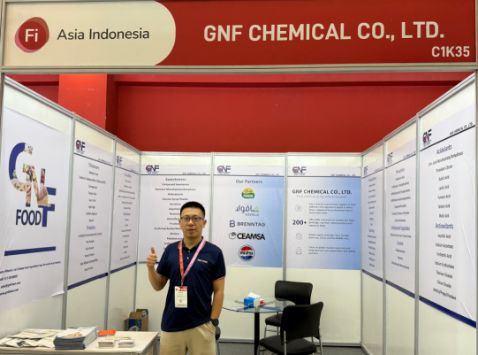 A Fi Asia Indonesia 2026 foi oficialmente inaugurada! Visite a GNF CHEMICAL no estande C1K35.